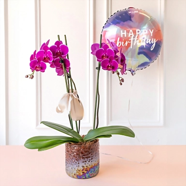 Orquídea Morada en Maceta de Cristal y Globo "Happy Birthday" 13178