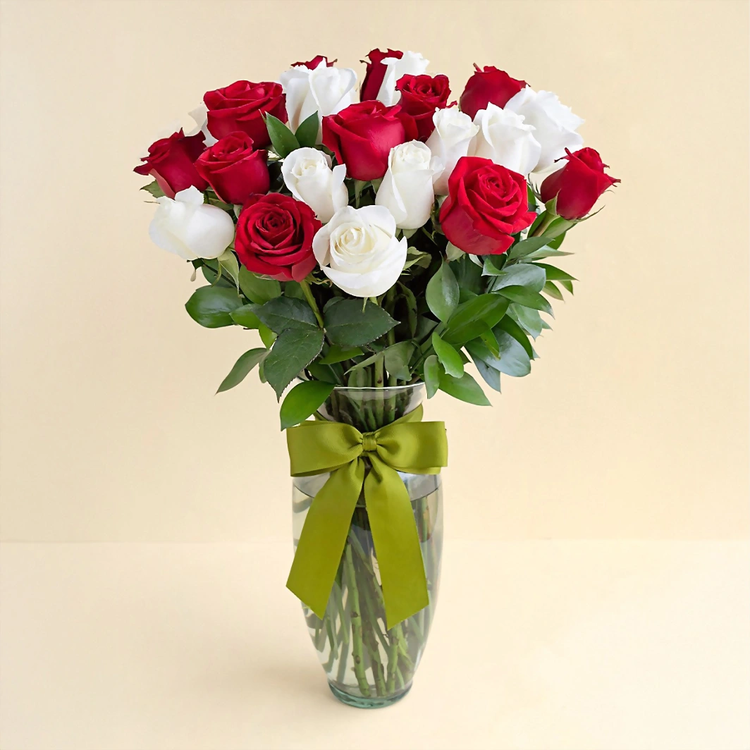 24 Rosas Radiantes 13355