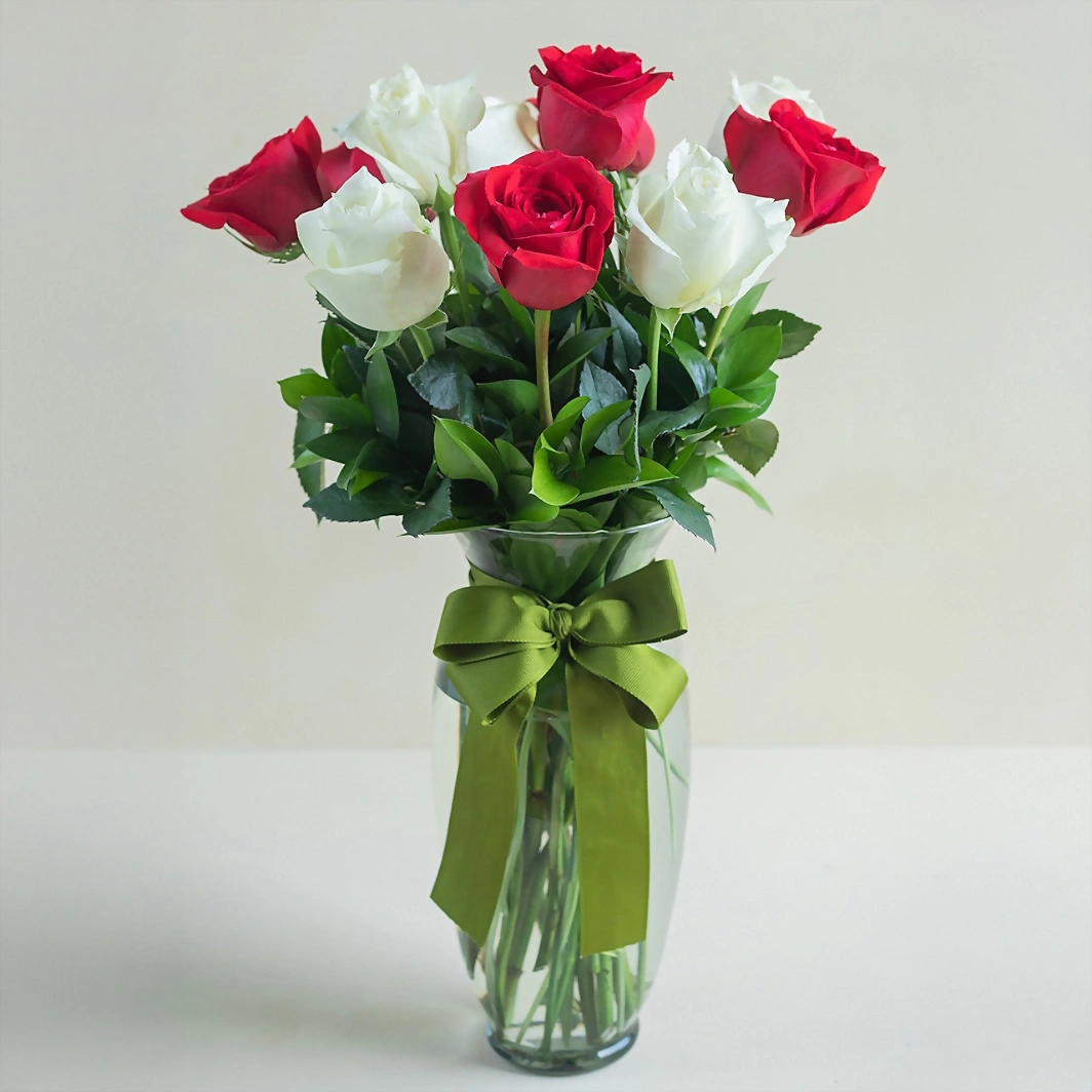 12 Rosas Radiantes 13356