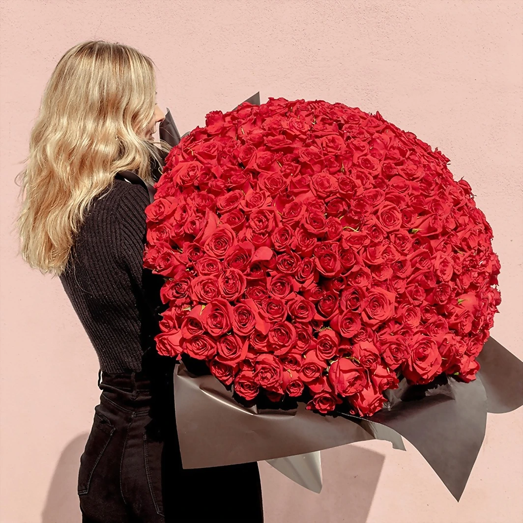 Ramo de 500 Rosas Rojas 13664