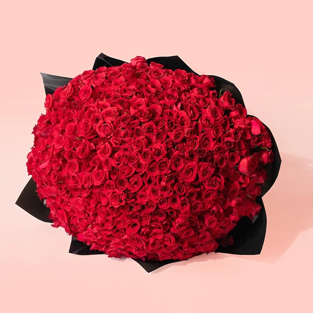 Ramo de 500 Rosas Rojas 13664