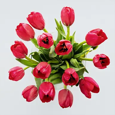 Personaliza con Mini Foto 15 Tulipanes Rojos 18786