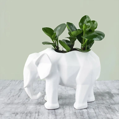 Personaliza con Mini Foto Planta del Éxito en Elefante 19393