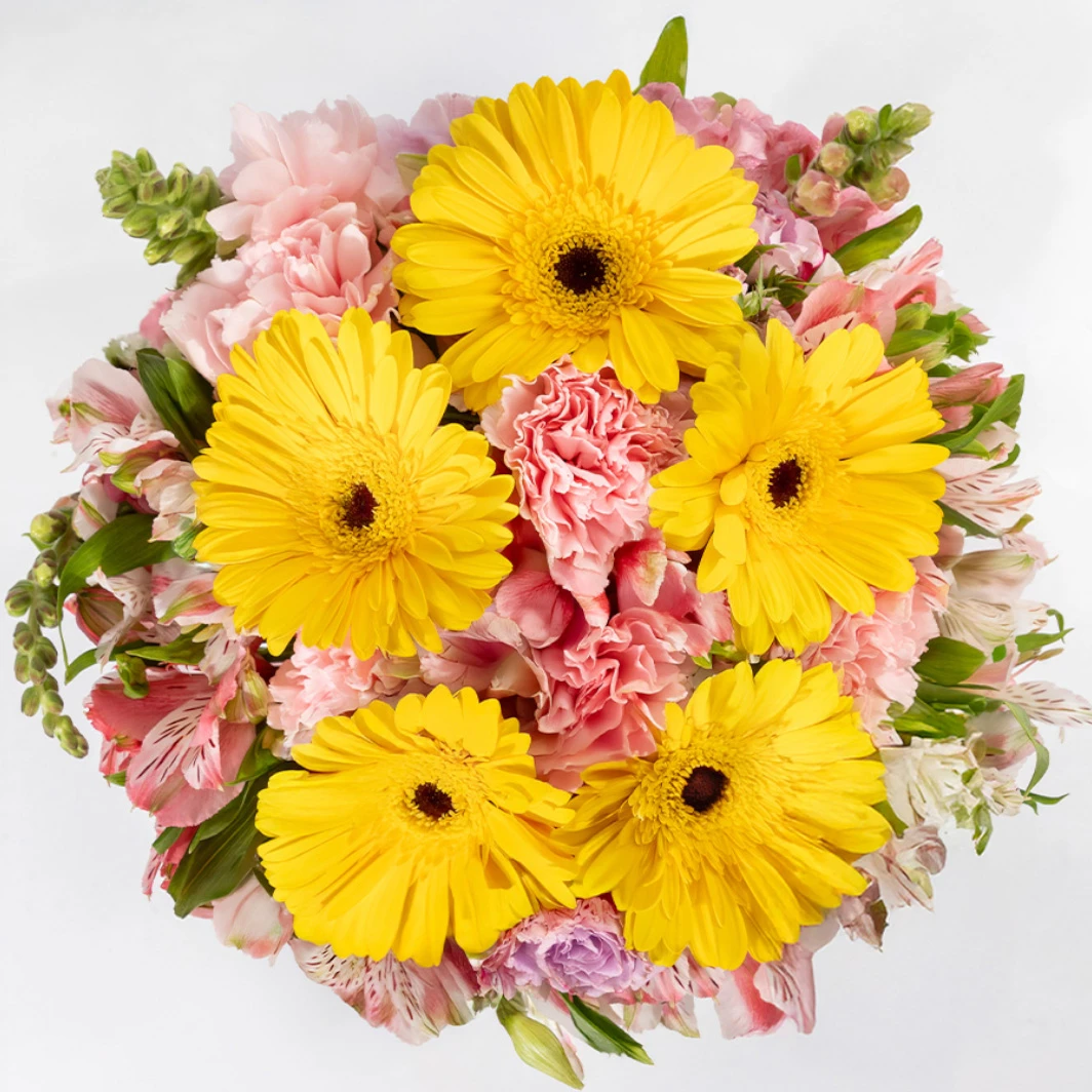 Sunbeams with Gerberas and Carnations 19555
