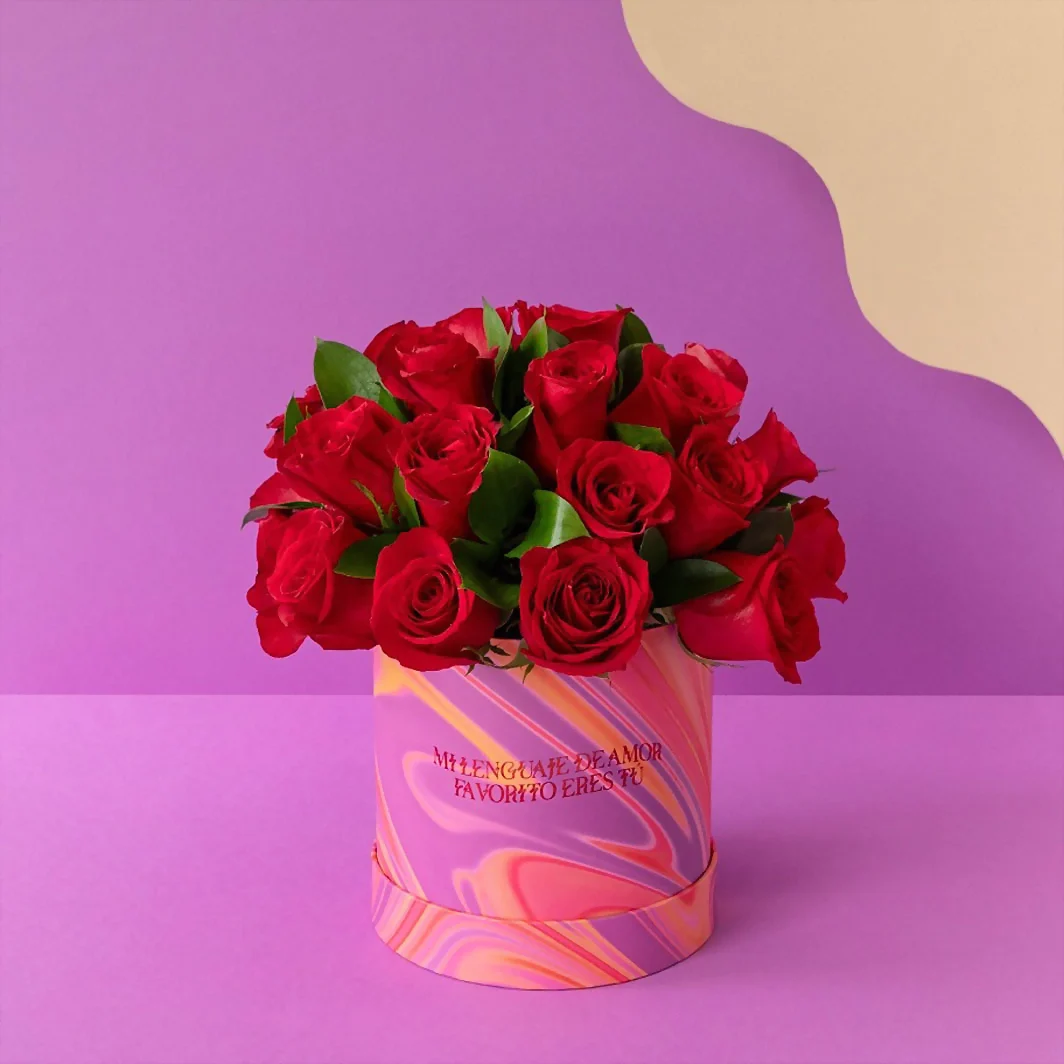 24 Rosas Rojas en Caja Estampada 19784