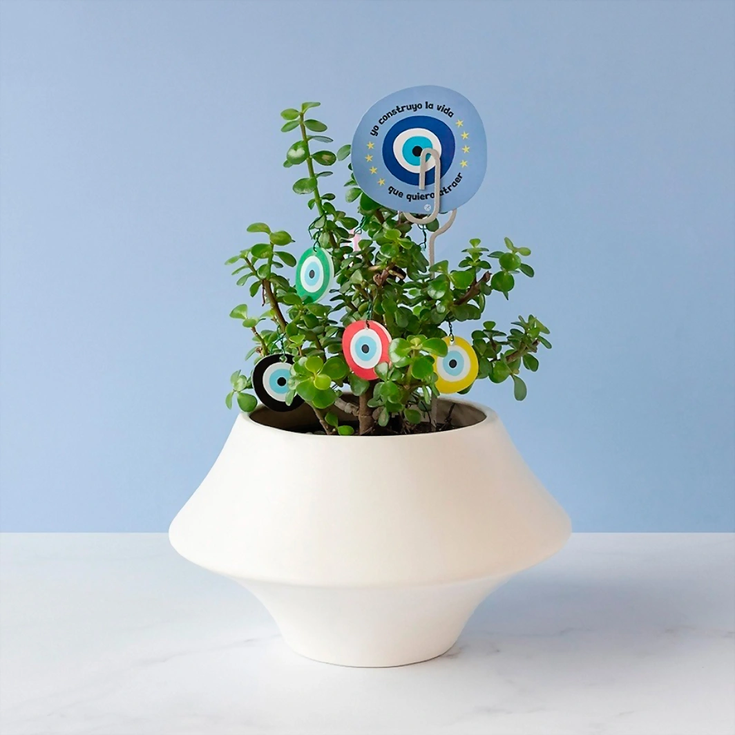 Planta de la Buena Vibra 20011