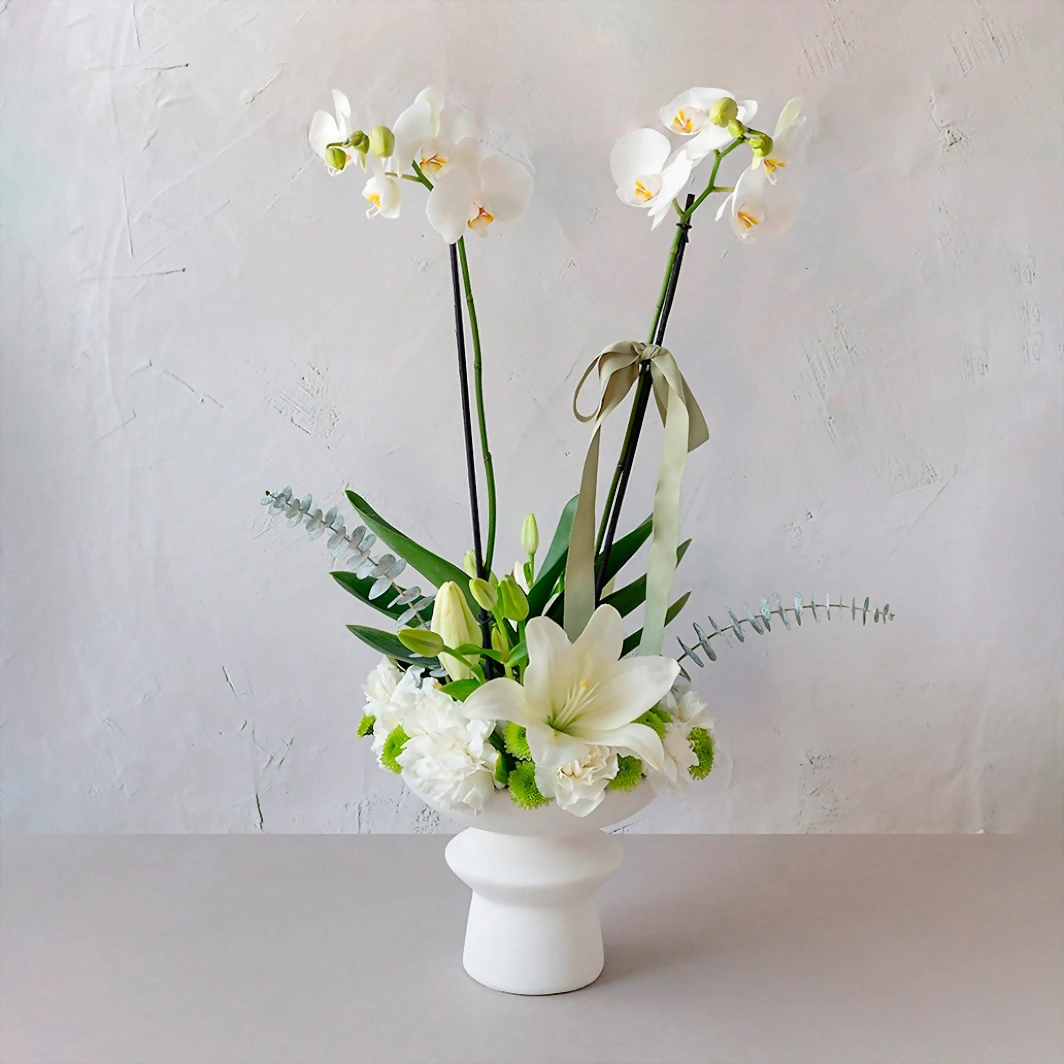 Orquídea Blanca con Flor 20145