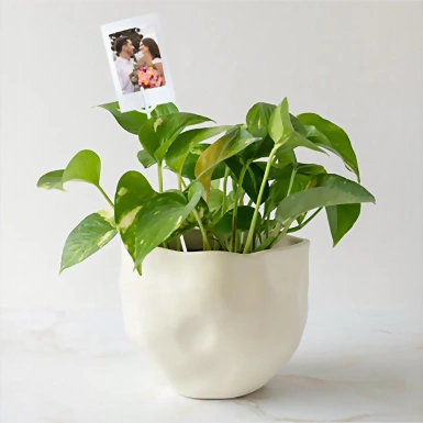 Personaliza con Mini Foto Planta de la Fortaleza 20290