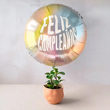 Planta del Éxito con Globo Gigante ''Feliz Cumpleaños'' 20665