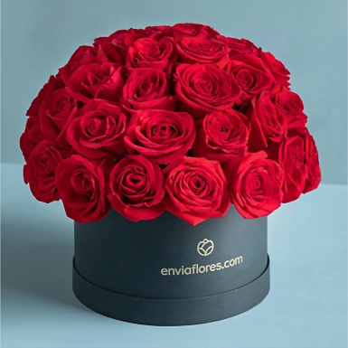 50 Rosas Rojas en Caja 21068