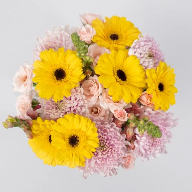 Ramo de Gerberas Amarillas con Roxanne 21207