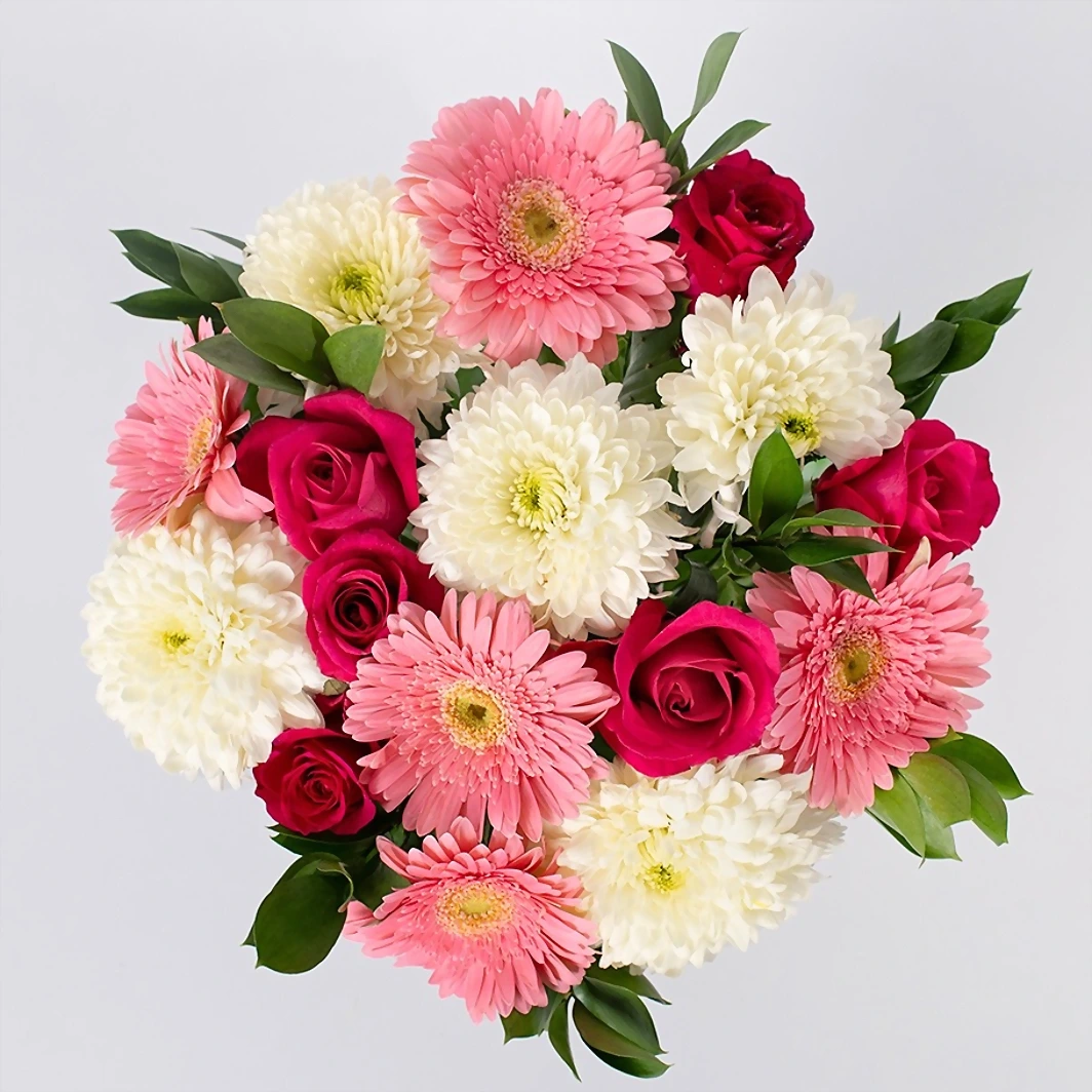 Arreglo de Gerberas con Rosas Fucsia 21300