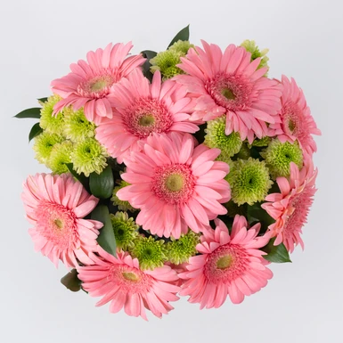 Ramo de Gerberas Rosas 21305