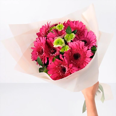 Ramo de Gerberas Fiusha 21317