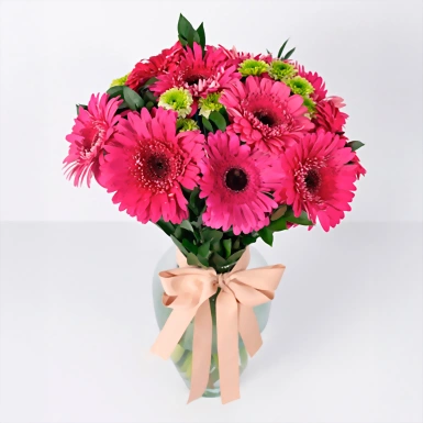 Fiusha Gerbera Arrangement 21318