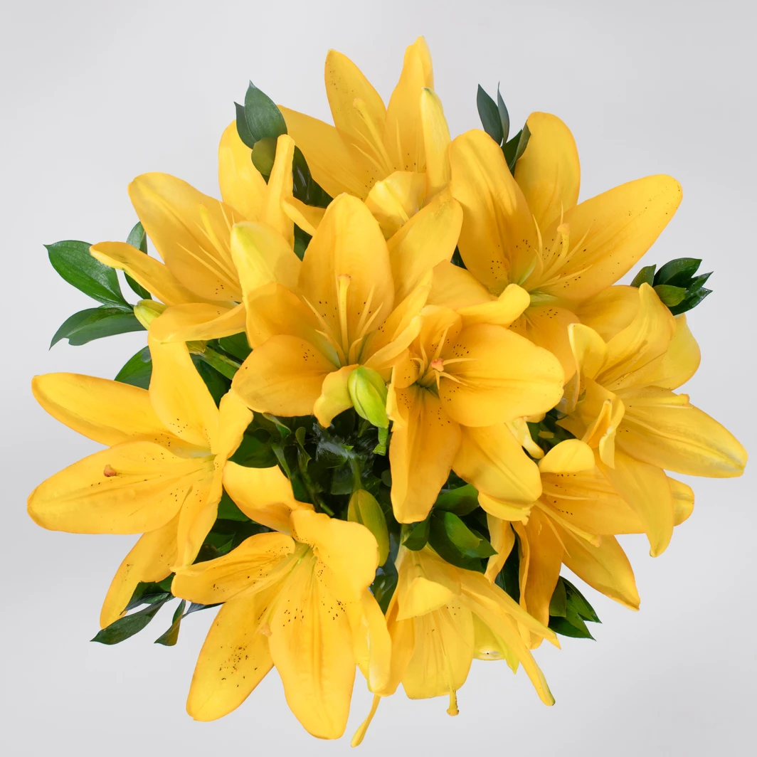 Bouquet of Yellow Lilys 21326
