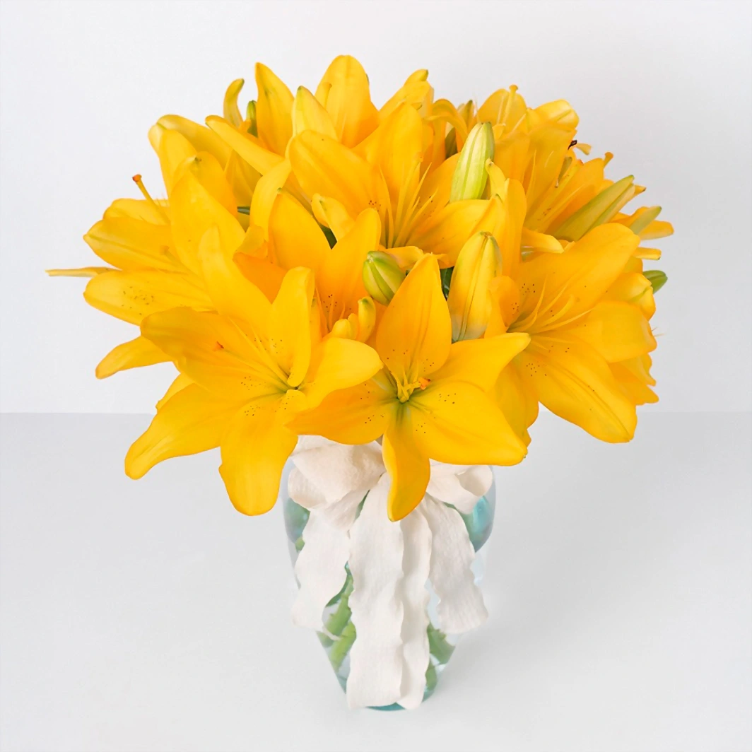 Arrangement of 10 Yellow Lilies 21327