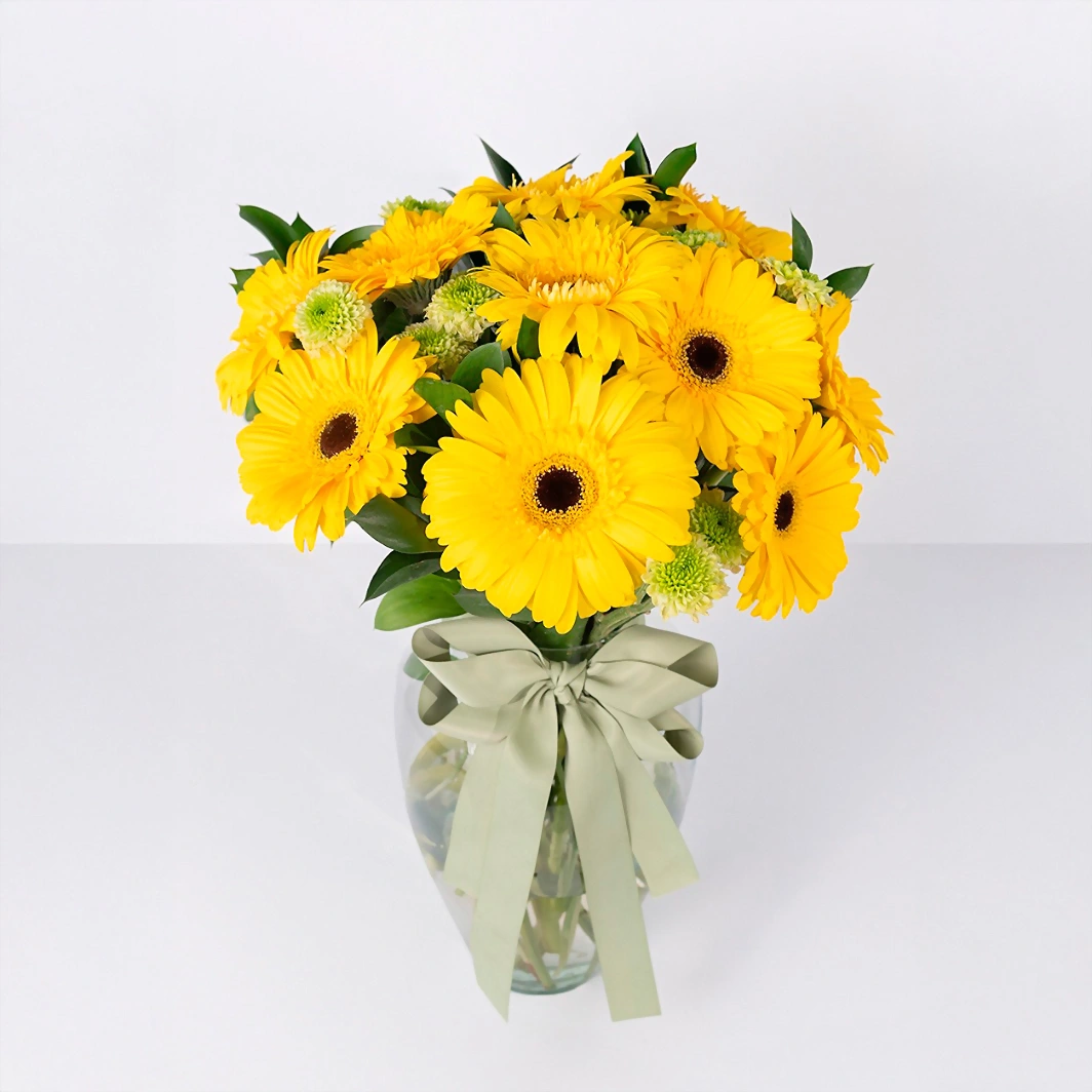 Arrangement of 10 Yellow Gerberas 21335