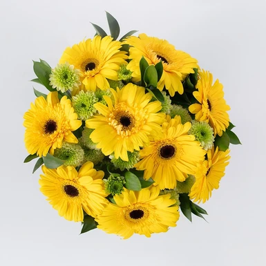 Ramo de Gerberas Amarillas y Margaritas 21336