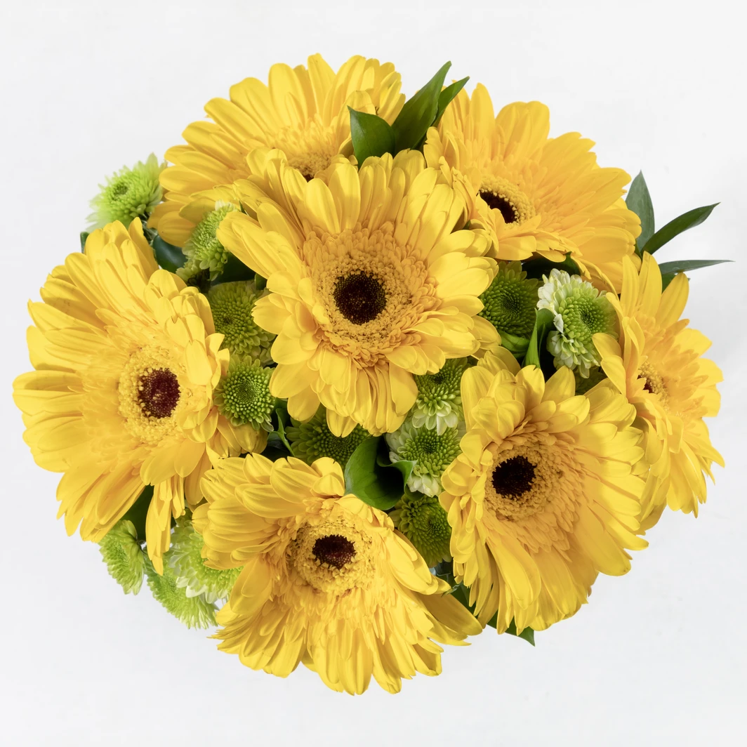Ramo de Gerberas Amarillas y Margaritas 21336