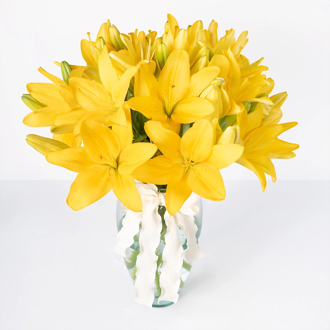 Arreglo de 15 Lilys Amarillas  21365