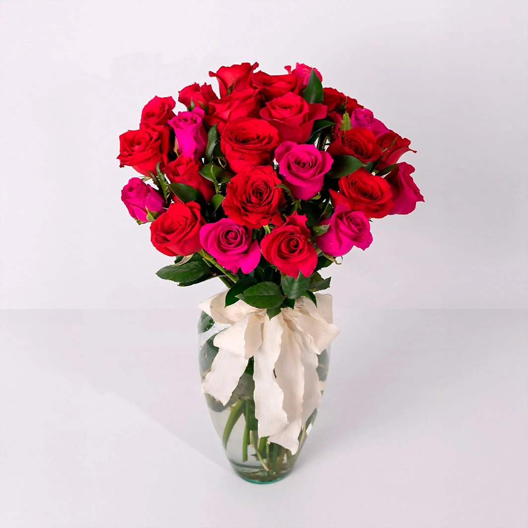 Arreglo de 24 Rosas Rojas y Fucsia 21378