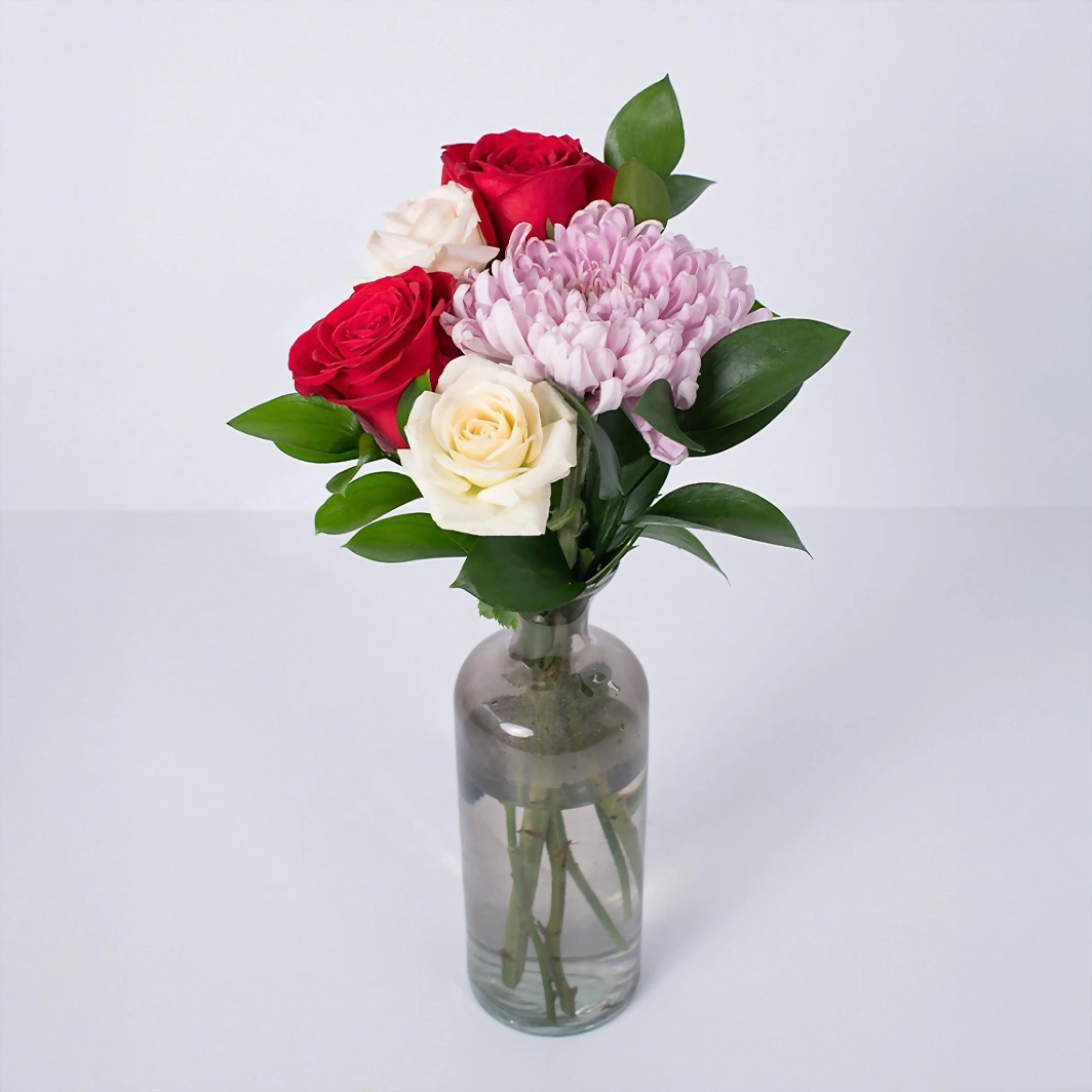 Violetero con Rosas y Roxana 21549