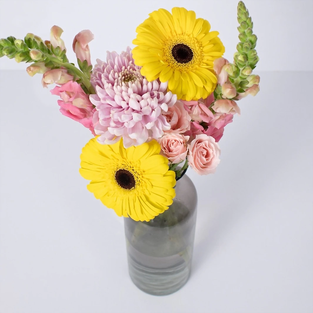 Violetero con Gerberas Amarillas y Roxana 21551