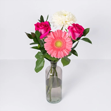 Rosas Fucsia en Violetero Gris 21552