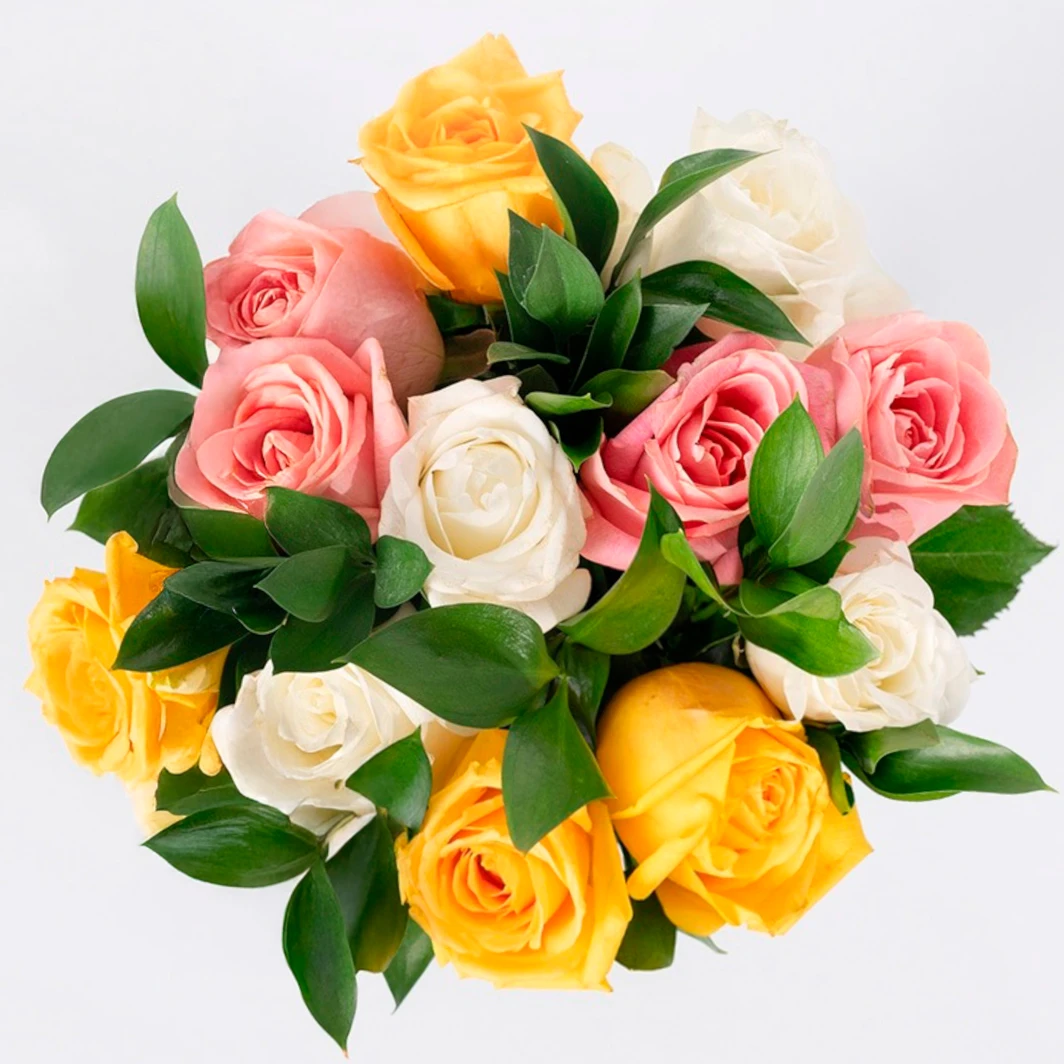 Ramo de 12 Rosas Coloridas 21829
