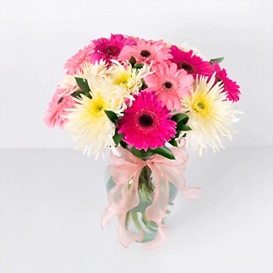 Arreglo de Gerberas rosas con Spider 21865