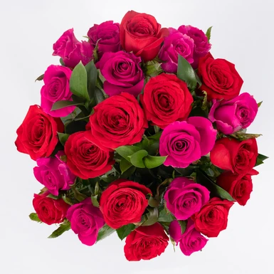 Ramo de 24 Rosas Fuscia y Rojas 22025