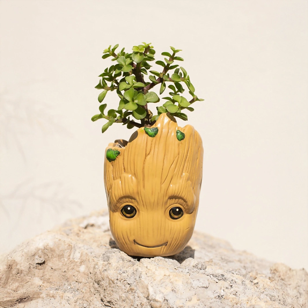 Mini Planta en Maceta Groot 22030