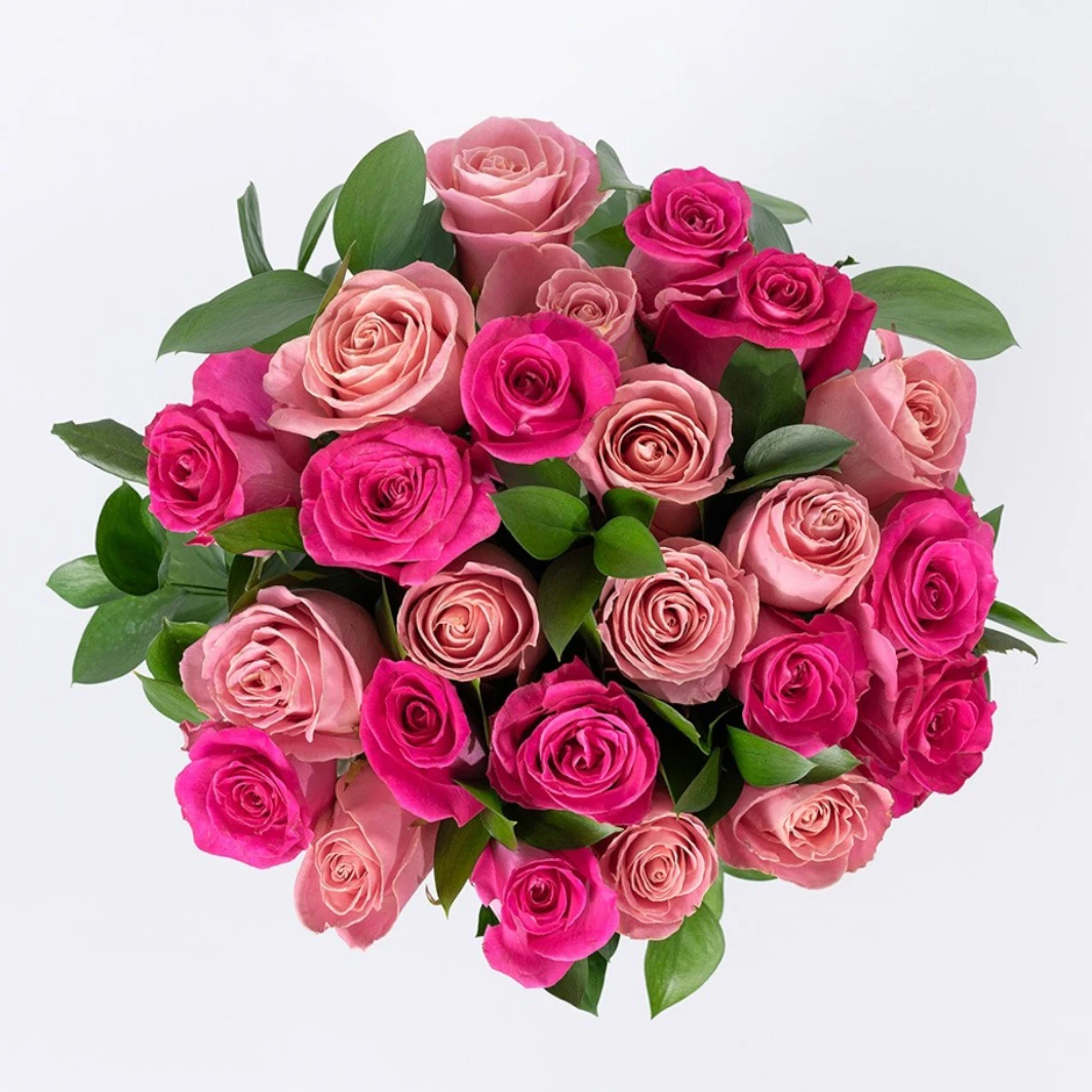 Ramo de 24 Rosas Rosas 22055