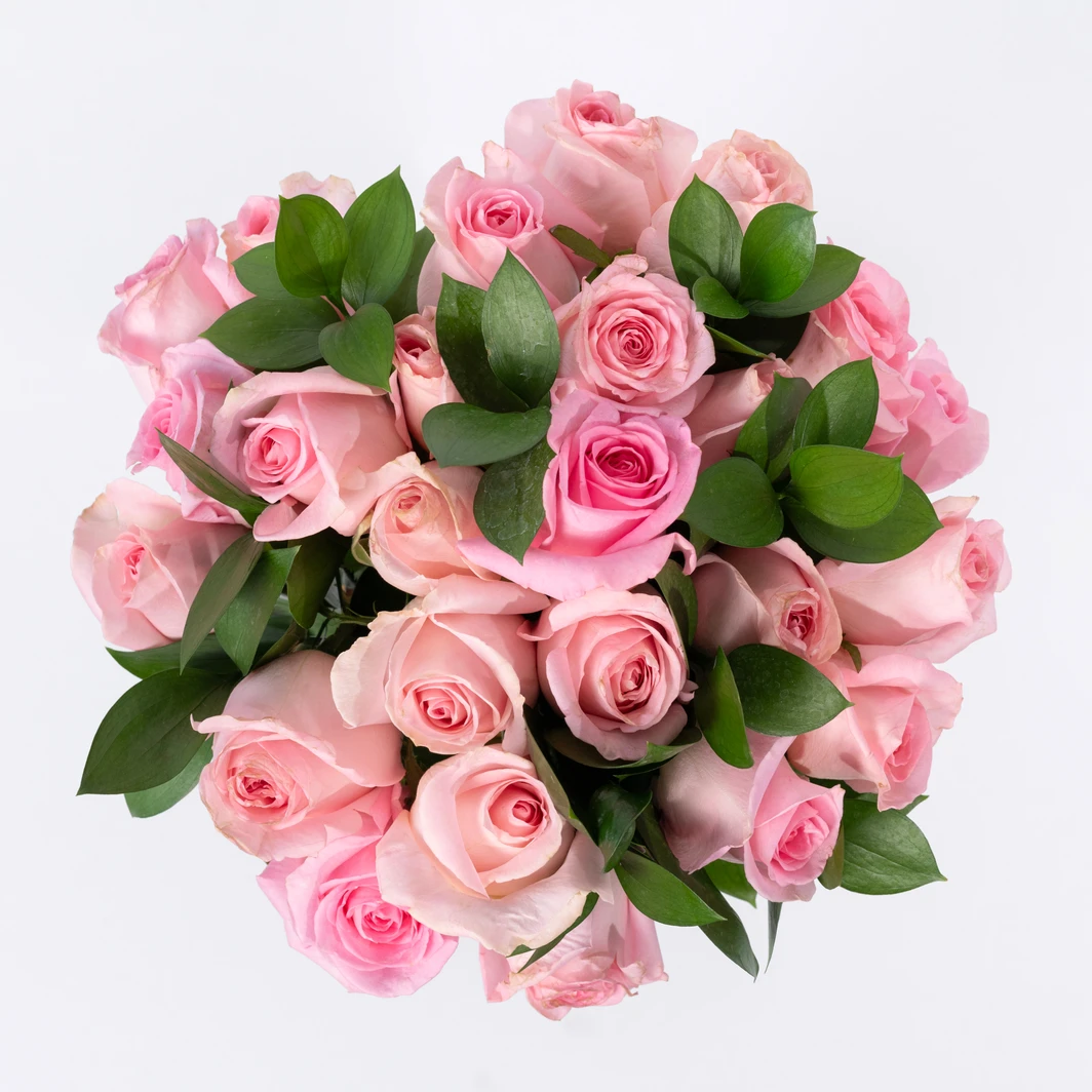 Ramo de 24 Rosas Rosa Claro 22141