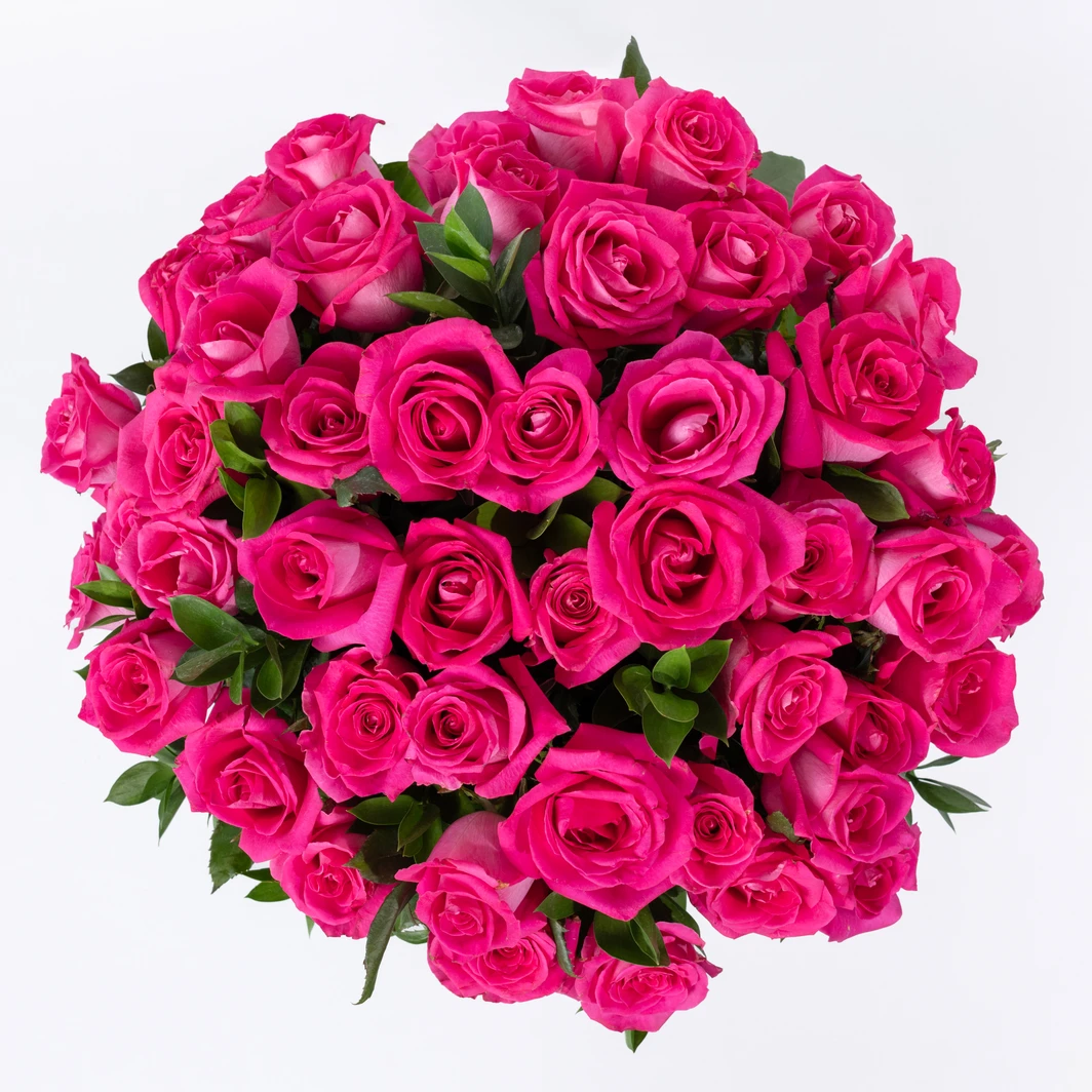 Bouquet of 50 Fuchsia Roses 22142