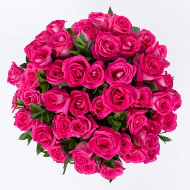 Ramo de 50 Rosas Fucsia 22142
