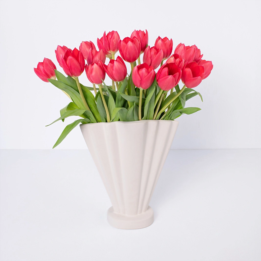 20 Red Tulips 22151