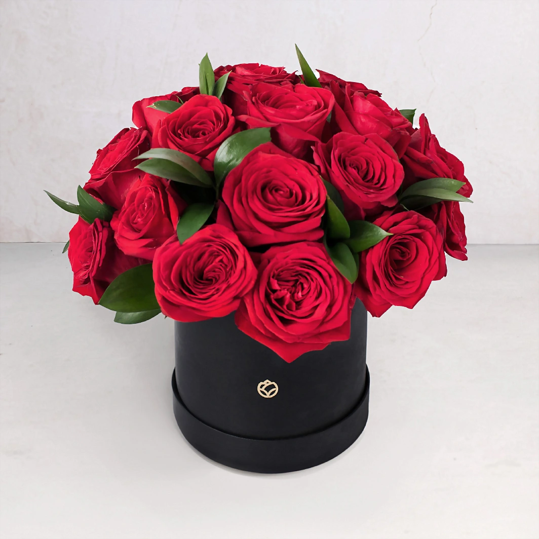 24 Rosas Rojas en Caja Negra 22152