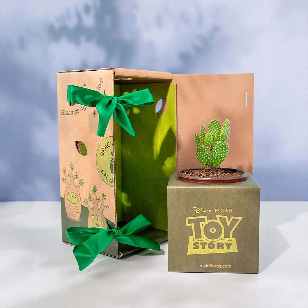 Caja Disney Toy Story 22165