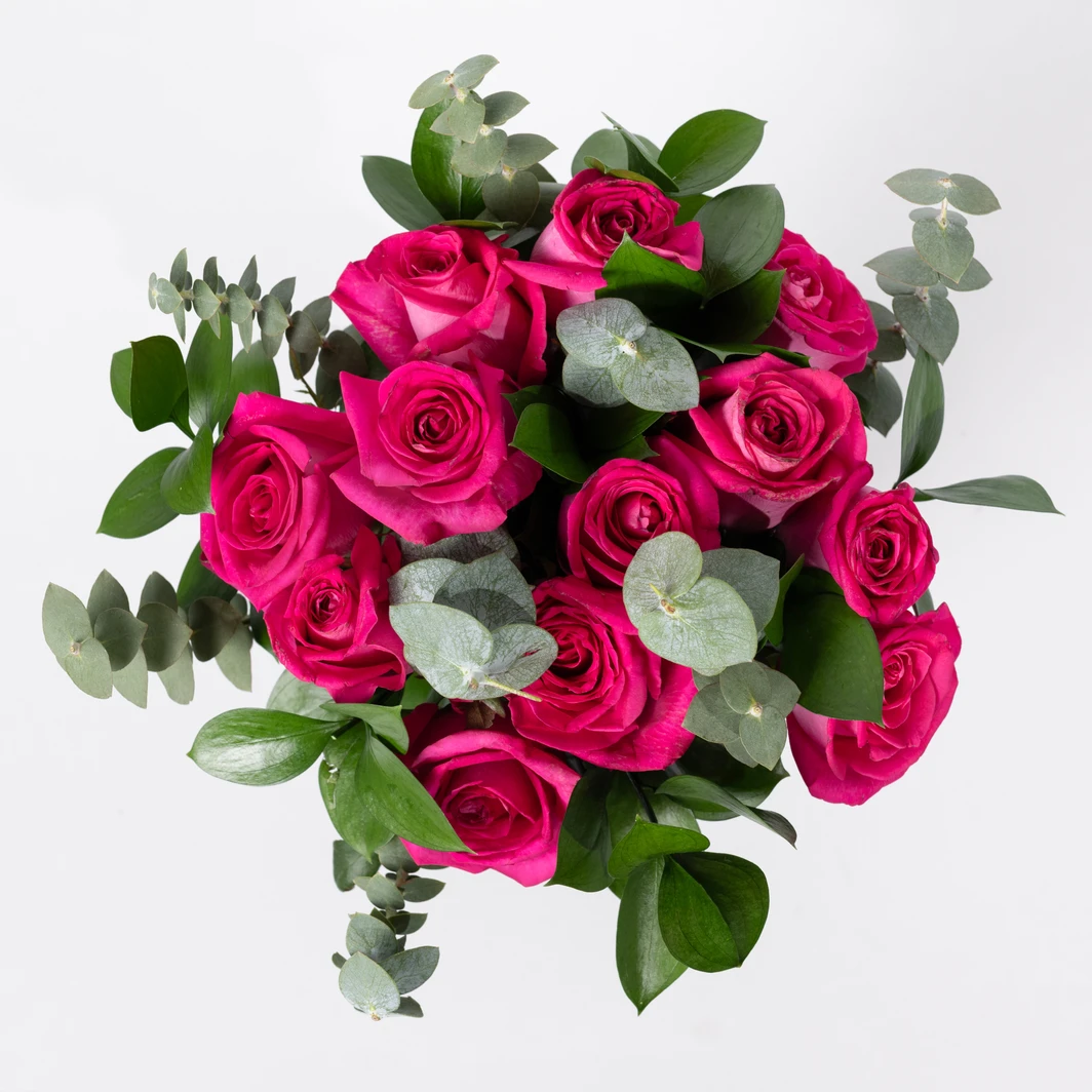 Ramo de 12 Rosas Fucsia 22191