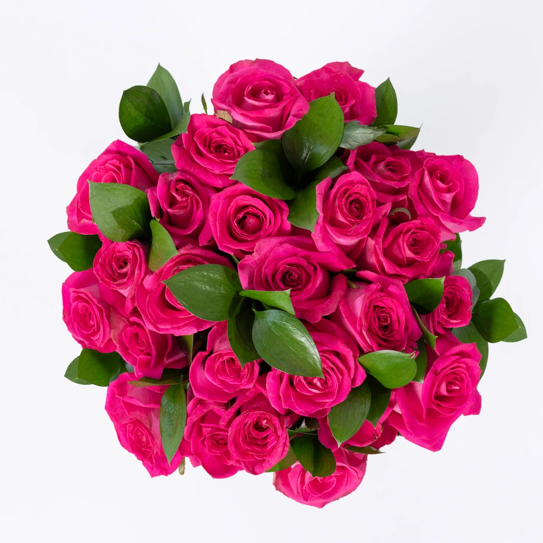 Ramo de 24 Rosas Fucsia 22193