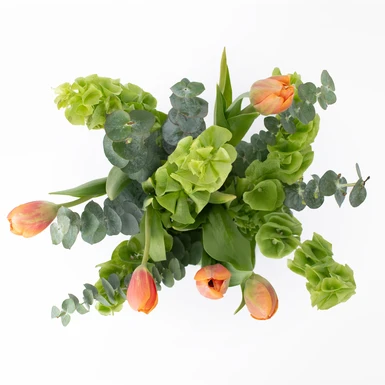 Ramo de Tulipanes Naranjas 22507