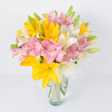 Arreglo Colorido de 15 Lilys  22511