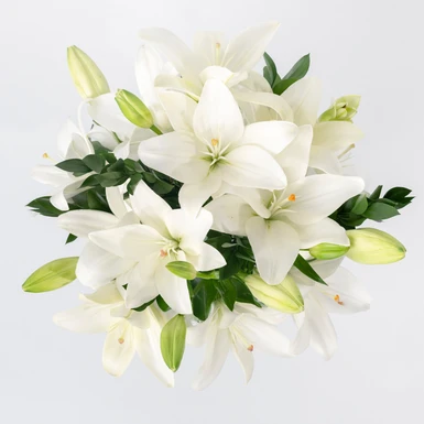 Bouquet of White Lilies 22577