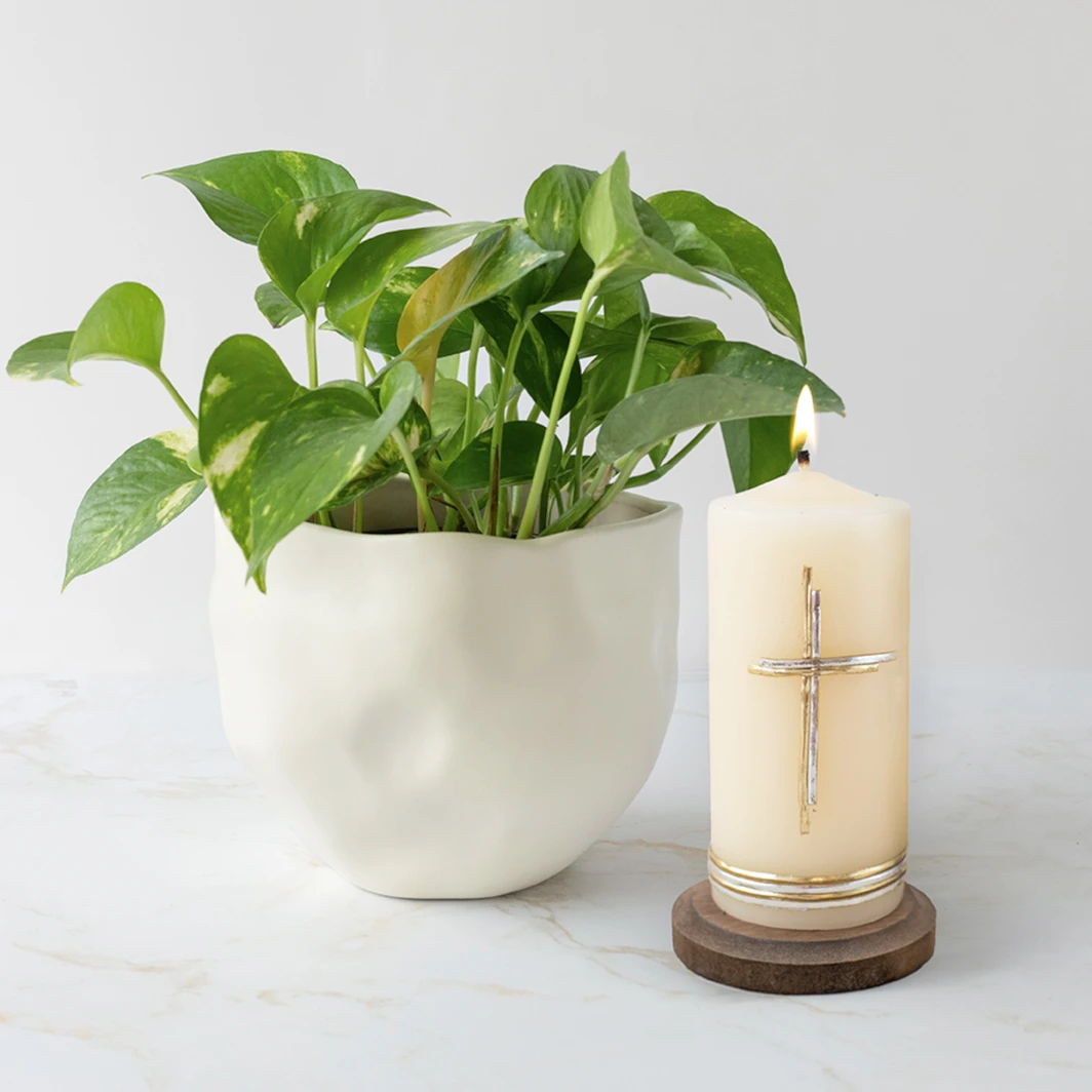 Cirio Cruz con Planta de la Fortaleza 22652