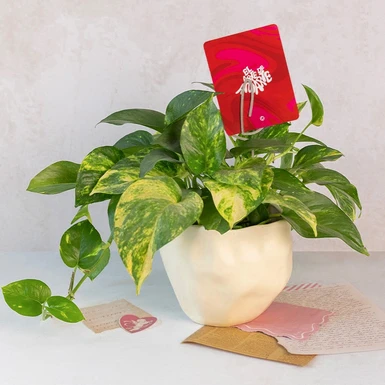 Plan of the Fortress with 'The Art of Loving You' Distinction 22741