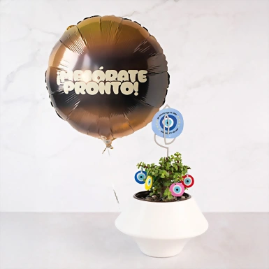 Planta de la Buena Vibra con Globo "Mejorate Pronto" 22782