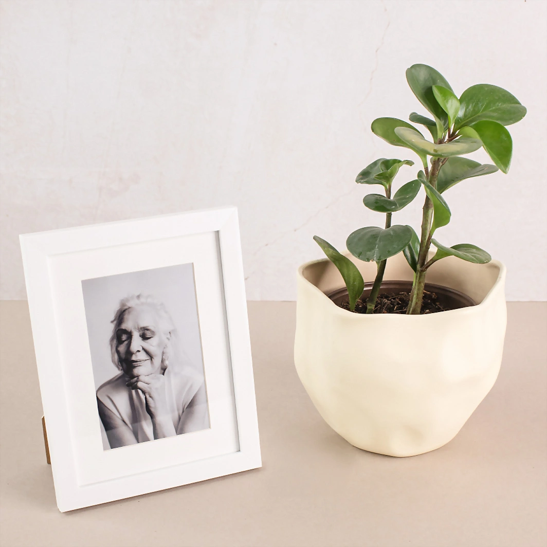 Personaliza Marco Blanco con Planta Condolencias 22798