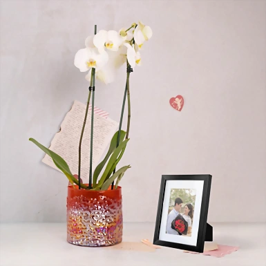 Personaliza Marco Negro y Orquídea Blanca 22981